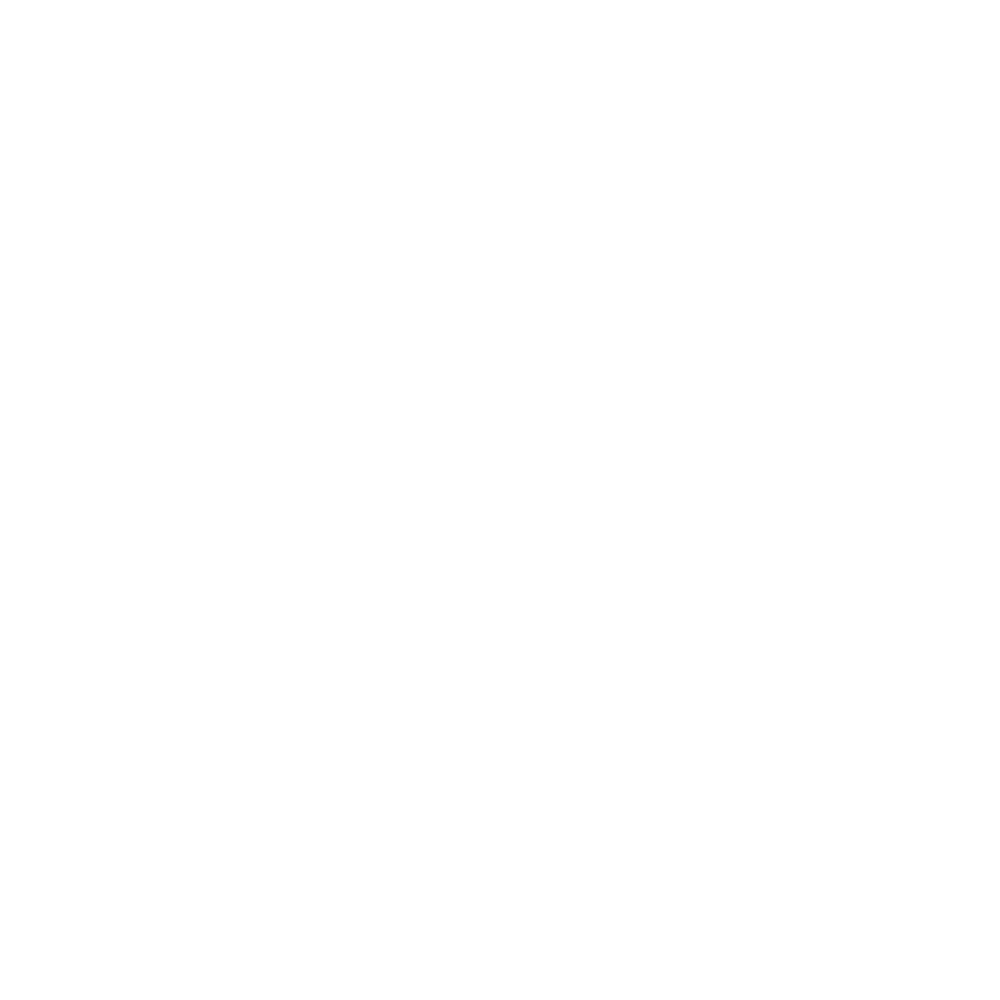 Logo-Seb-Flag-3D-Outline